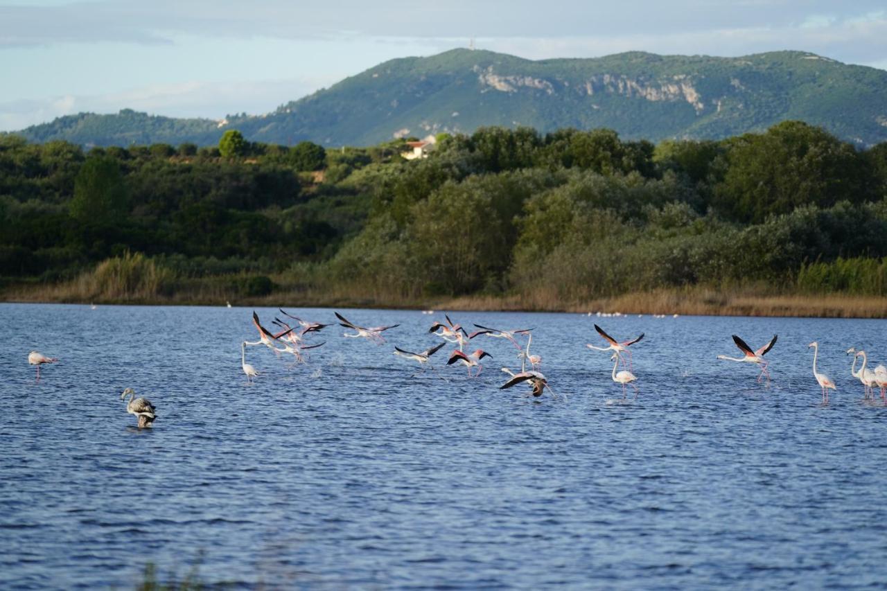 Stefanias Prasoudi Beach Ágios Matthaíos Екстериор снимка